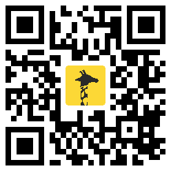 DING QR code